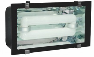 Flood Light: 250W Induction Flood light IP65