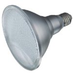 12W LED PAR38 Globe in E27
