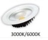 20W Downlight (Non Dim) with 1.2 Flex & Plug
