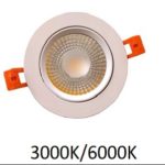 25W Gimbal Downlight (Non Dim) with Flex&Plug
