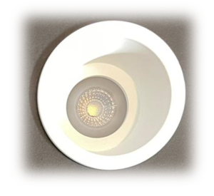 LED Downlight in White