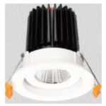 LED Adjustable Downlight